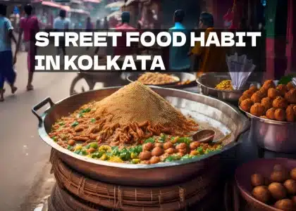 street food habit in kolkata